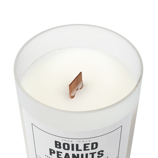 Boiled Peanuts 🥜 SC Lowcountry Candle
